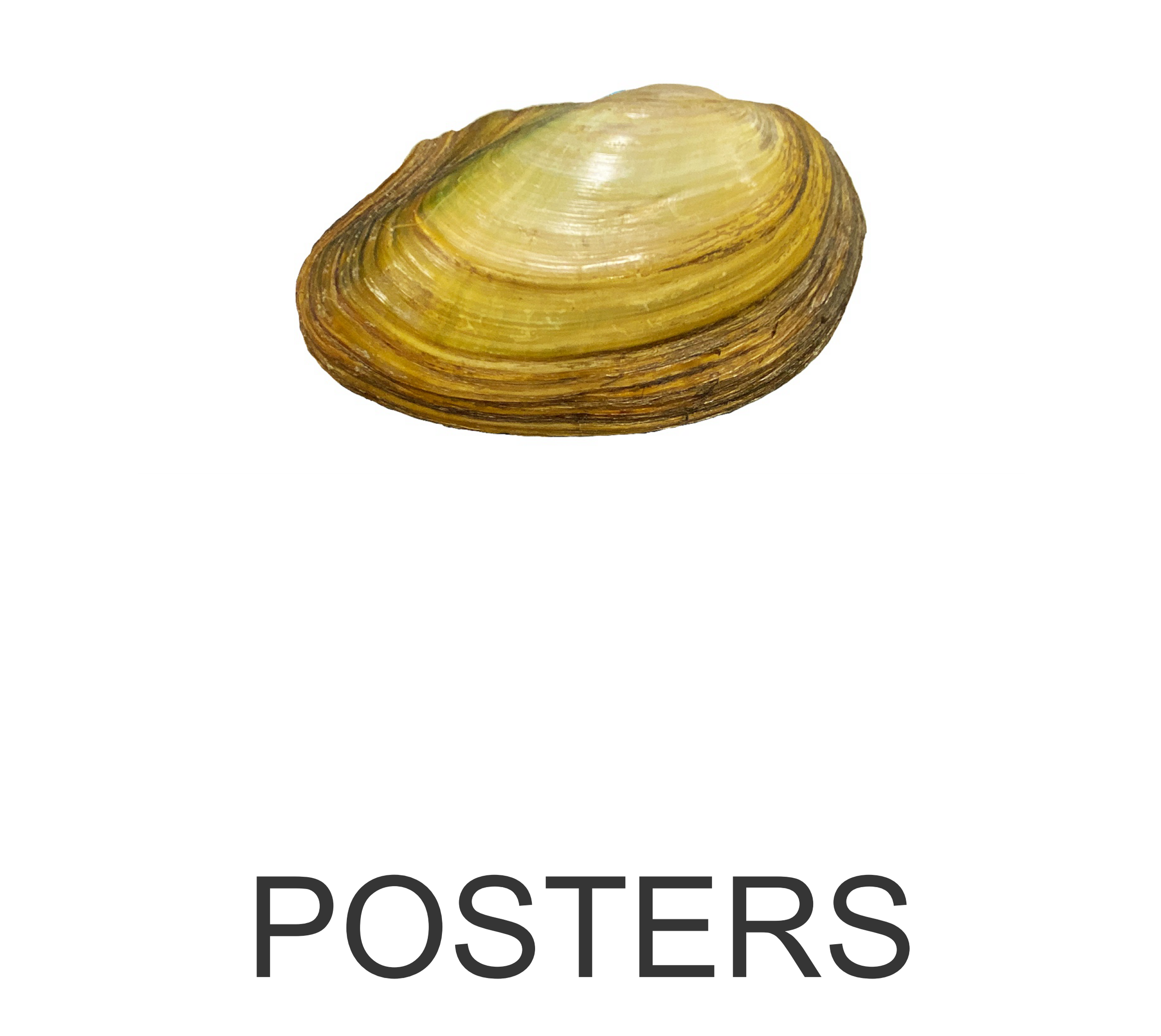 picture of bivalve with the word 'posters' on it